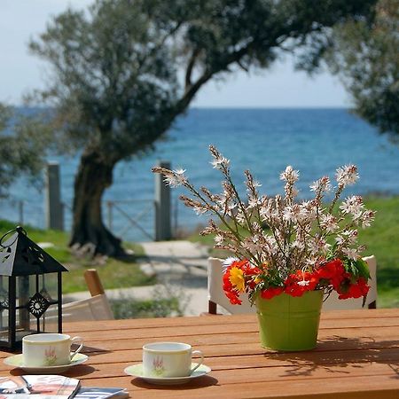 Melinda Holiday House Plomari Стая снимка