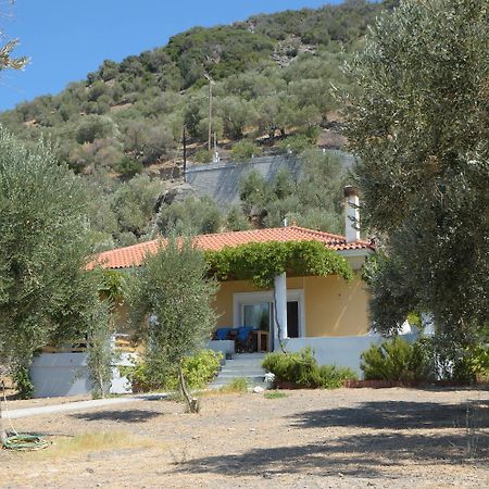 Melinda Holiday House Plomari Екстериор снимка